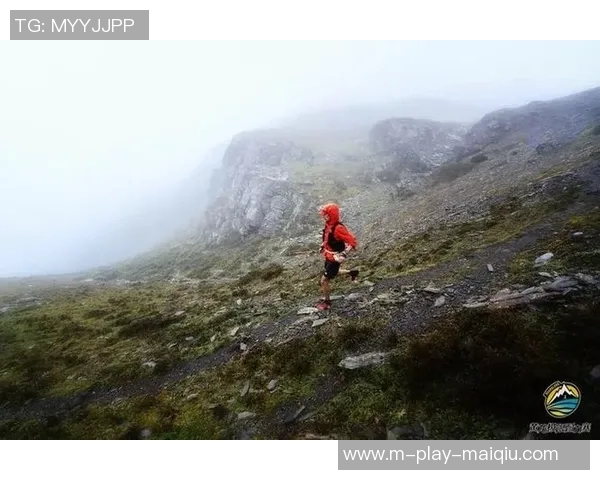 探寻北京排球队的耐力秘境与训练背后的故事 探寻北京排球队的耐力秘境与训练背后的故事