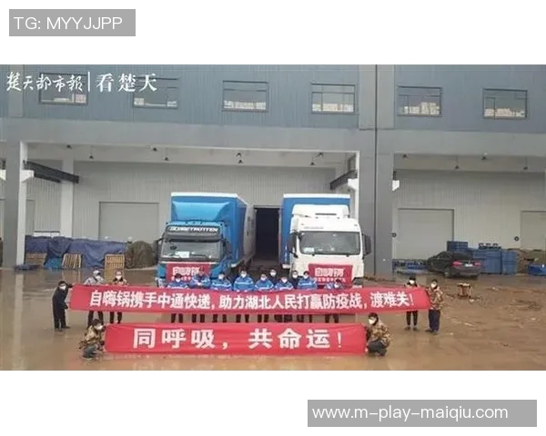 英超数据分析助力武汉羽毛球队提升团队协作表现的策略研究