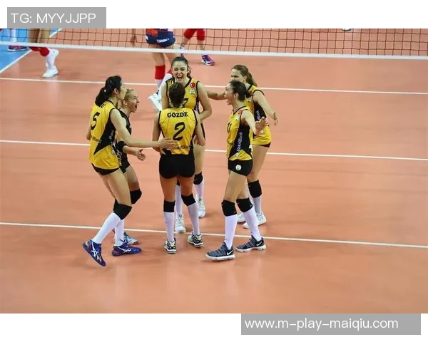 排球新手必看意识入门指南助你在欧冠足球中脱颖而出