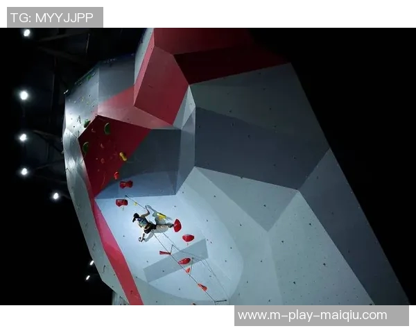 西安攀岩队速度表现的运动数据分析与提升策略研究