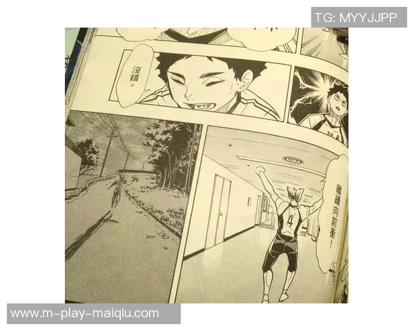 运动数据南京排球队的奋斗与荣耀一段不平凡的排球纪实之旅 运动数据南京排球队的奋斗与荣耀一段不平凡的排球纪实之旅